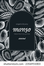 Plantilla de diseño de frutas en pizarra. Ilustración vectorial hecha a mano de mango realista. Frutos exóticos, ramas de árbol de mango, hojas esbozos. Envase, Envase, Alimentos Saludables. Elemento de diseño de verano