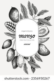 Fruit design template. Realistic mango hand-drawn vector illustration. Exotic fruit, mango tree branches, leaves sketches. Vintage frame, label, banner, packaging, print. Summer design element