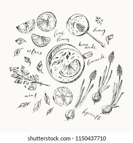 Fruit and dessert ink illustration. Hoe made lemonade with citrus, mint, honey and spring hyacinth flowers. For food background andcoloring book page.