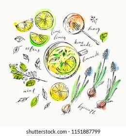 Fruit and dessert ink and watercolor illustration. Home made lemonade with citrus, mint, honey and spring hyacinth flowers. For food background and drinks menu.