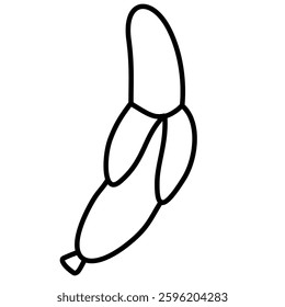 Fruit doodle line art illustration