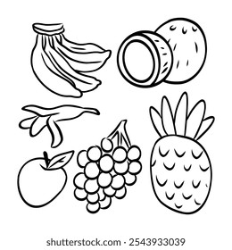fruit Doodle set Linear Vector illustration bananas ,pineapple, grapes ,apple, coconut