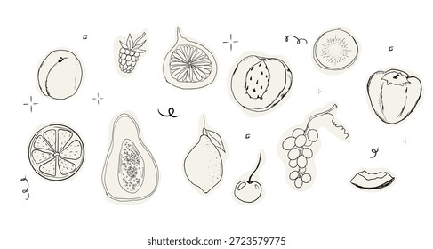 Boceto de doodle de frutas dibujado a mano conjunto tropical y frutas de jardín y bayas. Elementos decorativos del Vector para el cartel, cartel, tarjeta de felicitación, menú o invitación de la boda