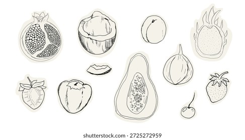 Fruit doodle sketch hand drawn set tropical and garden fruits and berries. Decorative vector elements for poster, placard, greeting card, menu or wedding invitation