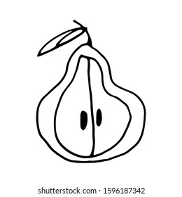Fruit in doodle style on isolated white background.  Hand drawn pear slice. Coloring book for kids and adults. Summer berry.  Stock vector illustration. 
