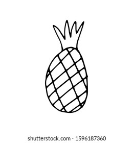 Fruit in doodle style on isolated white background.  Hand drawn pineapple. Coloring book for kids and adults. Summer berry.  Stock vector illustration. 
