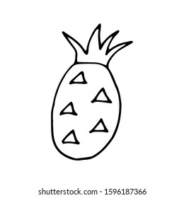 Fruit in doodle style on isolated white background.  Hand drawn pineapple. Coloring book for kids and adults. Summer berry.  Stock vector illustration. 
