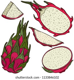 Fruit dragon fruit, vector, color