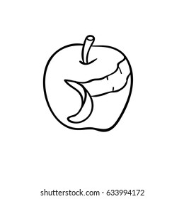 Fruit drawing. Apple. Sketch.