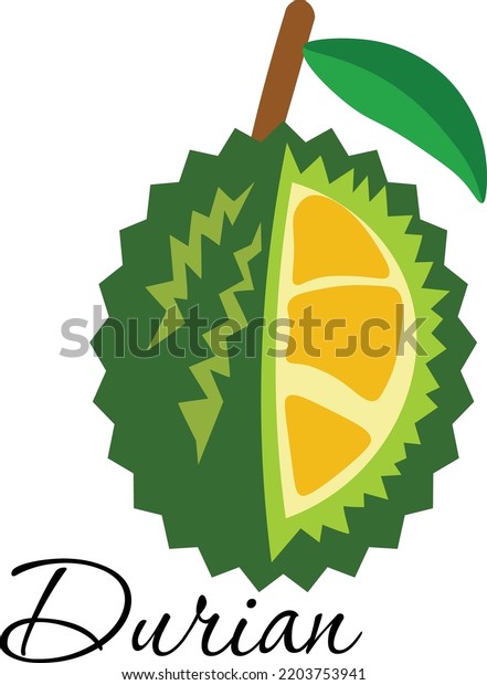 Fruit Durian Tree Durian Vector Stock Vector (Royalty Free) 2203753941 ...