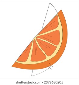 Fruit elements. Hand drawn vector illustration.