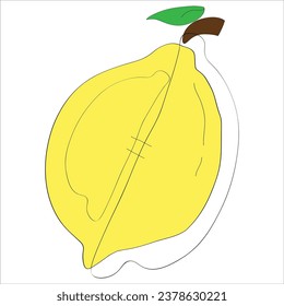 Fruit elements. Hand drawn vector illustration.