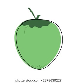 Fruit elements. Hand drawn vector illustration.
