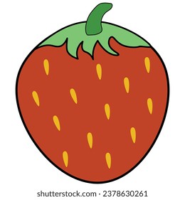 Fruit elements. Hand drawn vector illustration.