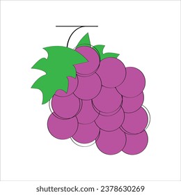 Fruit elements. Hand drawn vector illustration.