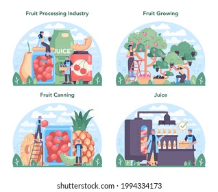 Fruit farming and processing industry set. Idea of agriculture and cultivation. Organic harvest selection. Dried fruits, juice and canned fruits production. Isolated flat vector illustration