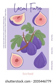 Fruit fig juice card design. Sweet figs fruit on branch with leaves vector hand drawn poster concept. Bright tasty tropical fruits. Juice banner template for local farm market.