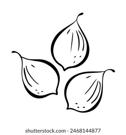 Fruit fig stylized contour doodle drawing, logo icon, isolated on white background.