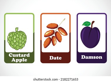 Fruit flashcards for kids. Educational cards for preschool. Printable vector illustration