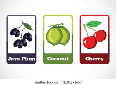 Fruit flashcards for kids. Educational cards for preschool. Printable vector illustration