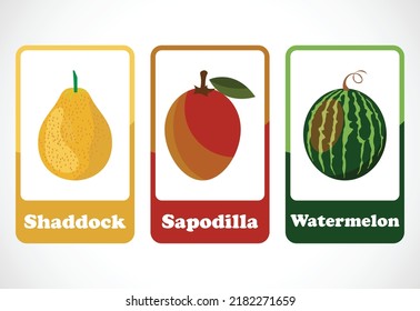 Fruit flashcards for kids. Educational cards for preschool. Printable vector illustration