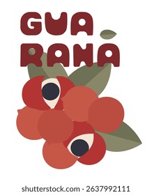 Guaraná fruit flat design banner vector illustration