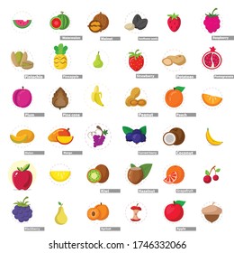 fruit flat icon set, with watermelon, melon, apple, peach, grapes, coconut, orange, kiwi, mango