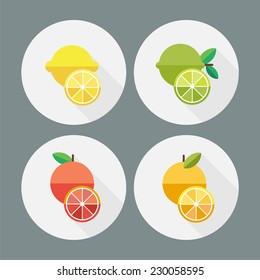 Fruit flat icons. Vector.