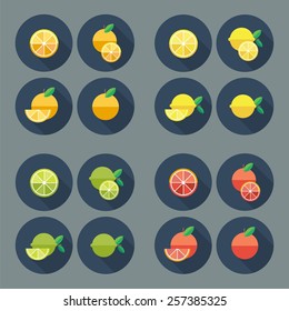 Fruit flat icons. Vector.