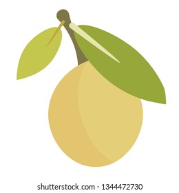 Fruit flat illustration on white