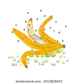 Fruit flies and banana peel. Drosophila melanogaster. Insect swarming around food scraps. Flies flying above peeled banana in grass. Organic waste or kitchen leftovers and pest. Vector illustration