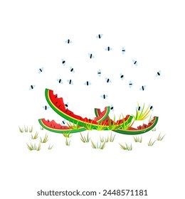 Fruit flies and watermelon peel. Drosophila melanogaster. Insect swarming around food scraps. Flies flying above peeled melon in grass. Organic waste or kitchen leftovers and pest. Vector illustration