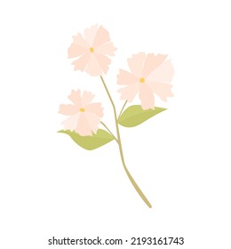 Fruit flowers illustration. Vector fruit drawing for design