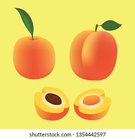 Fruit Food Apricot Vector