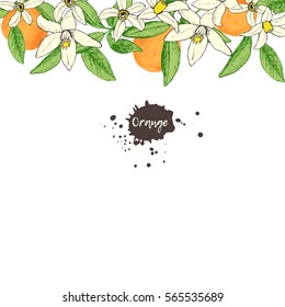 Fruit frame with isolated hand drawn oranges and flowers in sketch style. Design for invitation, wedding or greeting cards. Vector illustration