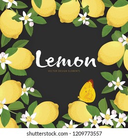 Fruit frame of lemon with flower and butterfly on black background template. Vector set of herbal element for advertising, packaging design of lemon tea products and fashion design.