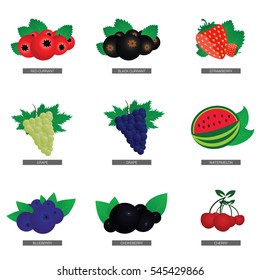 fruit fresh food set illustration art in colorful
