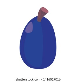 fruit fresh grape vector ilustration