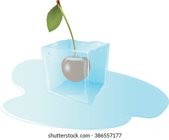 fruit frozen cherry in ice cube