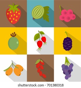 Fruit from the garden icons set. Flat set of 9 fruit from the garden vector icons for web with long shadow