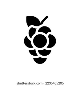Fruit, Glyph, Food, Healthy, Vegetable, Flat Icon Logo Illustration Vector Isolated. Suitable for Web Design, Logo, App.