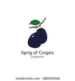 Naturaleza de la hoja de la rama de uva de frutas Diseño de logotipo fresco