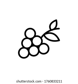Fruit, grape concept line icon. Simple element illustration. Fruit, grape concept outline symbol design from Italy set. Can be used for web and mobile