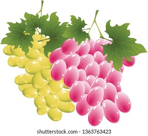 fruit grape food