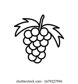 colección de iconos de uva de fruta, estilo moderno