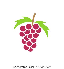fruit grape icon collection, trendy style