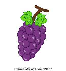 fruit Grape isolated illustration on white background