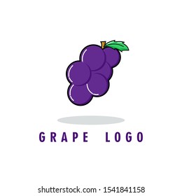 Fruit grape logo. grape with leaf.modern design.vector illustration