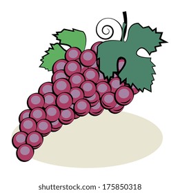 Fruit, Grape, vector illustration