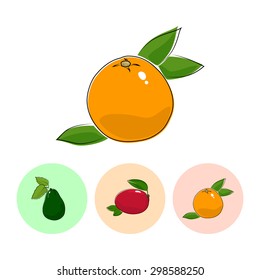 Fruit  Grapefruit   on White Background , Set of Three Round Colorful Icons Avocado, Mango and Grapefruit , Vector Illustration